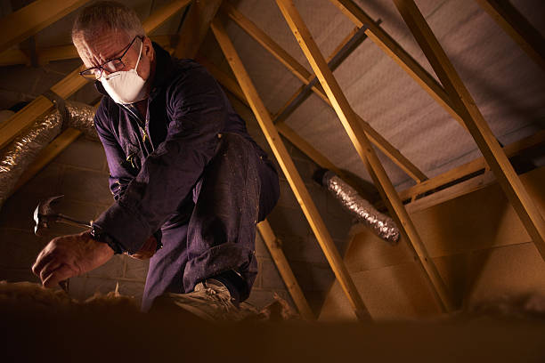 Best Energy Efficiency Solutions in Plummer, ID