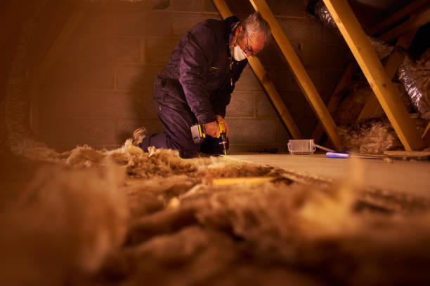 Best Residential Insulation in Plummer, ID